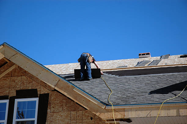 Best Metal Roofing Contractor  in Auburn, NE